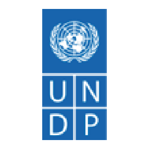 UNDP-01